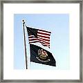 Patriotic Flags Framed Print