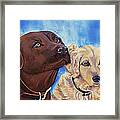 Pawsitively Friends Framed Print