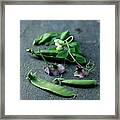Pea Pods And Flowers Framed Print