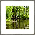 Peaceful Afternoon Framed Print