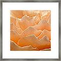 Peach Clouds Framed Print