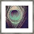 Peacock Feather Framed Print