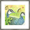 Peahens Strolling In The Garden Framed Print