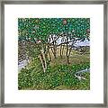 Dawn At Peaks Island Bay Framed Print