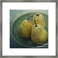 Pears In A Square Framed Print