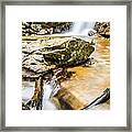 Peavine Falls Framed Print