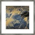 Pebble On The Beach At Torrey Pines State Beach In Southern California No. 1304 Framed Print