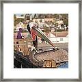 Pelican Sitting On Pier Framed Print