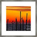 Pelican Sunset In Louisiana Framed Print