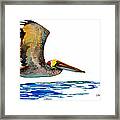 Pelican Over Water Framed Print