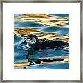Penguin Watercolor 2 Framed Print