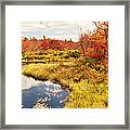 Pennsylvania Autumn Pocono Mountain Stream Framed Print