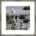 Perched On A Rock Cairn Framed Print