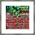 Perennial Ivy Framed Print