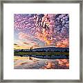 Perfect Pink Framed Print