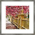 Perfect Time For A Spring Walk Framed Print