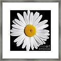 Perfectly Daisy Framed Print