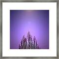 Perfectly Purple Framed Print