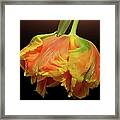 Petals Upside Down Framed Print