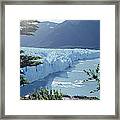 Petit Moreno Glacier Los Glaciares Np Framed Print