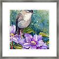 Phoebe And Clematis Framed Print