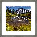 Picture Perfect Day Framed Print