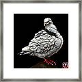 Pigeon Pop Art 5516 - Fs - Bb -  Modern Animal Artist James Ahn Framed Print