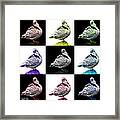 Pigeon Pop Art 5516 - Fs - V1 - M-  Modern Animal Artist James A Framed Print