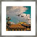 Pigeons Near Monastery In Boudnath Kathmandu Framed Print