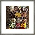 Piles Of Various Spices On Metal Surface Framed Print