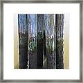 Salt Water Piling Framed Print