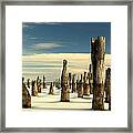 Pilings Ii Framed Print