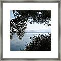 Pine Trees Overhanging The Aegean Sea Framed Print