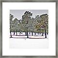 Pines And Snow Framed Print