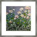 Pink And White Flowers Framed Print