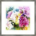 Pink And White Peonies Framed Print