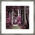 Pink Cedars Framed Print