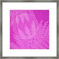 Pink Fern Pattern Framed Print