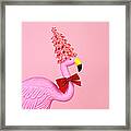 Pink Flamingo Wearing Candy Cane Hat Framed Print