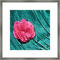 Pink Flower Blue Silk 02 Framed Print