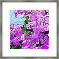 Pink Flowers Framed Print