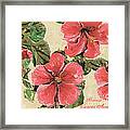 Pink Hibiscus Framed Print