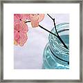 Pink Hydrangea No. 1 Framed Print