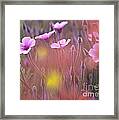 Pink Wild Geranium Framed Print