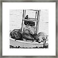 Pit Stop Black And White Framed Print