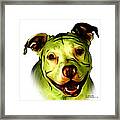 Pitbull Terrier - F - S - Wb - Yellow Framed Print