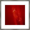 Plane Signature In Red 3 Framed Print