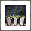 Planters And Blue Framed Print