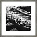 Play Of Light And Shadow. Framed Print
