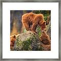 Playing In The Heights Framed Print
